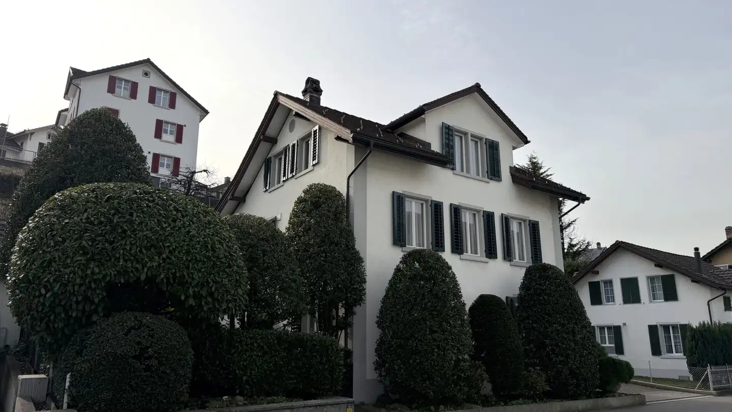 Single house for rent - Neuwiesenstrasse 8, 8630 Rüti ZH