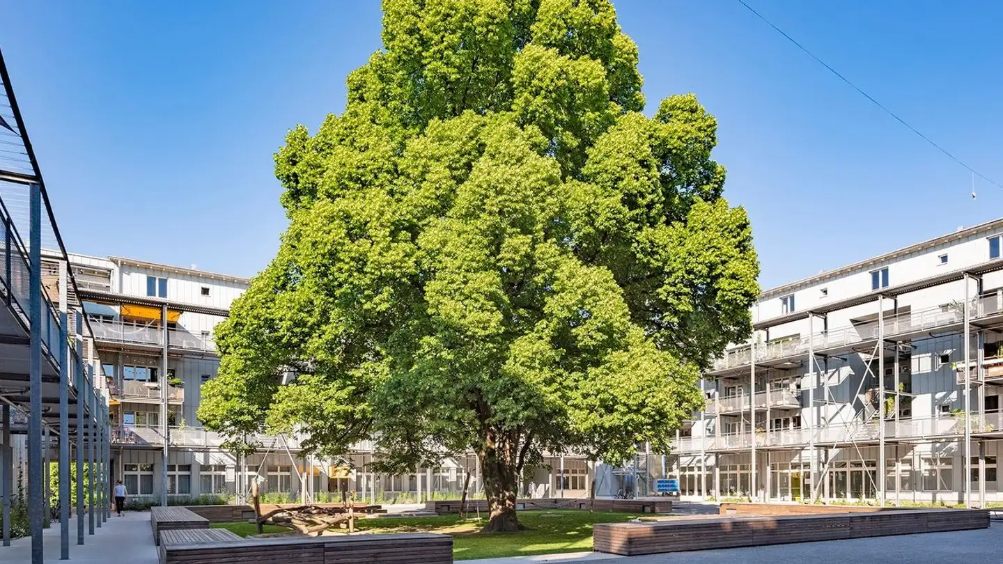 Appartement à louer - Brahmsstrasse 30, 8003 Zürich
