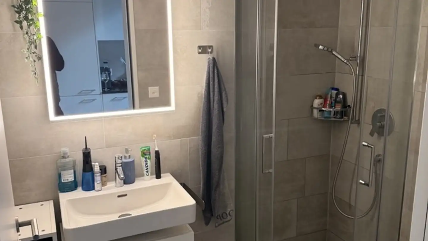 Wohnung mieten - Sihlaurain 4e, 8134 Adliswil - Foto 4