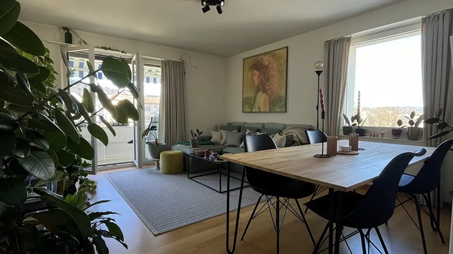 Appartement à louer - 8055 Zürich