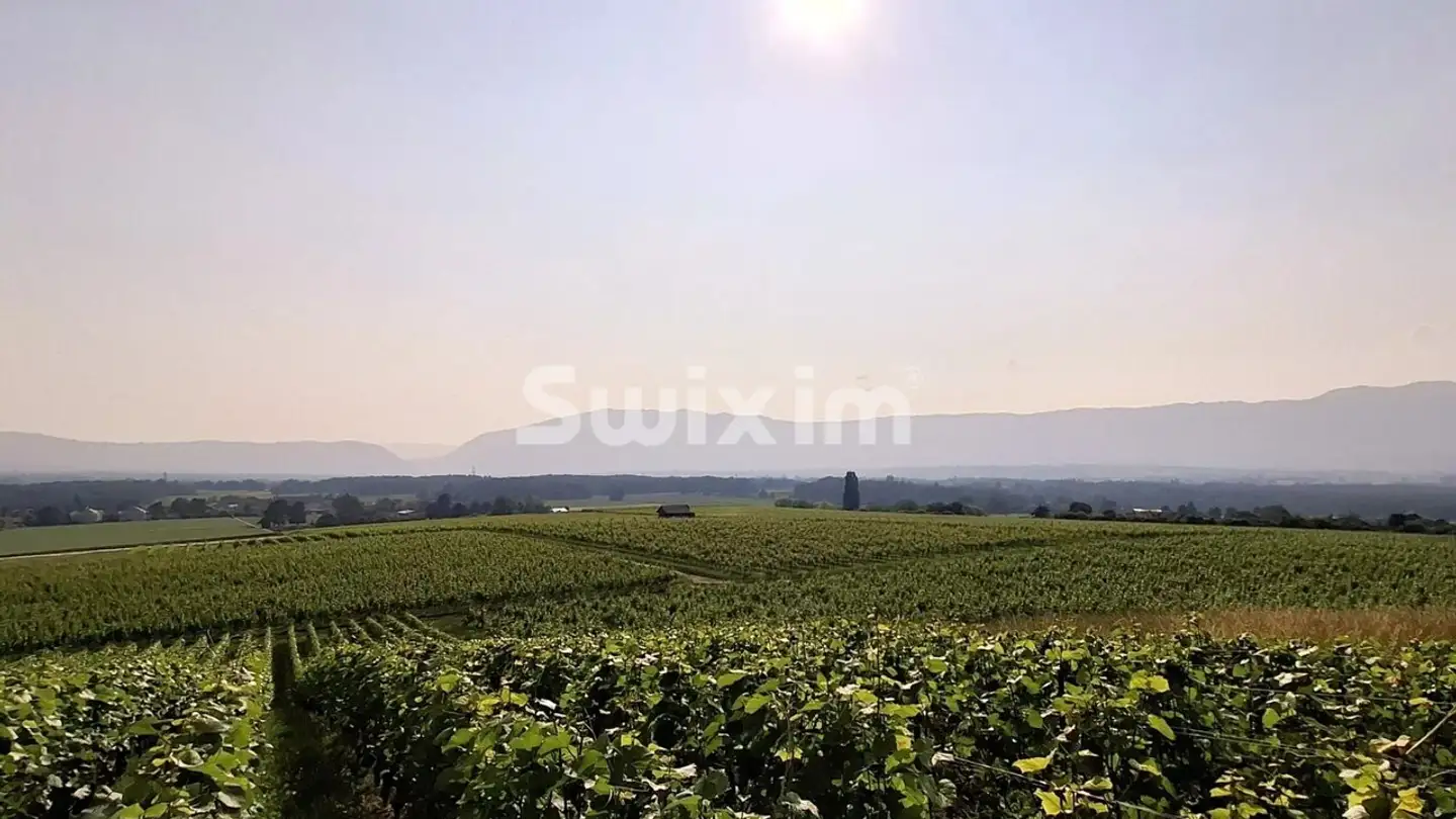 Single house for sale - 1204 Genève