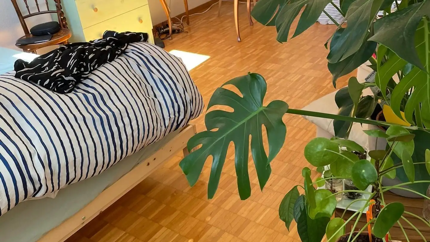 Stanza singola in affitto - Eigerstrasse 55, 3007 Bern - Photo 2