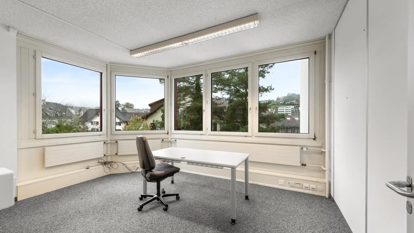Commerciale in affitto - Itaslenstrasse 9, 8362 Balterswil - Foto 2