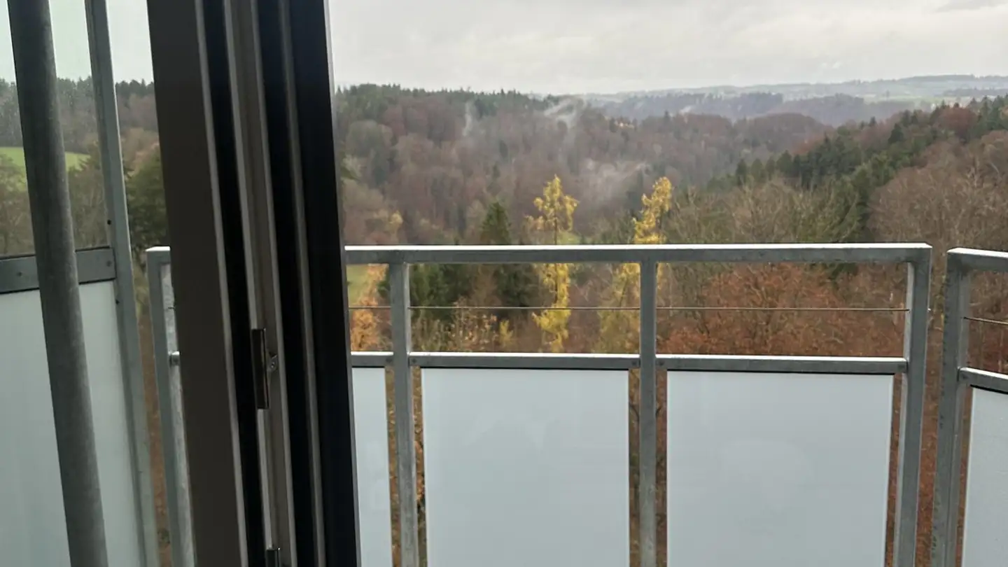 Appartement à louer - Holenackerstrasse 85, 3027 Bern - Photo 3