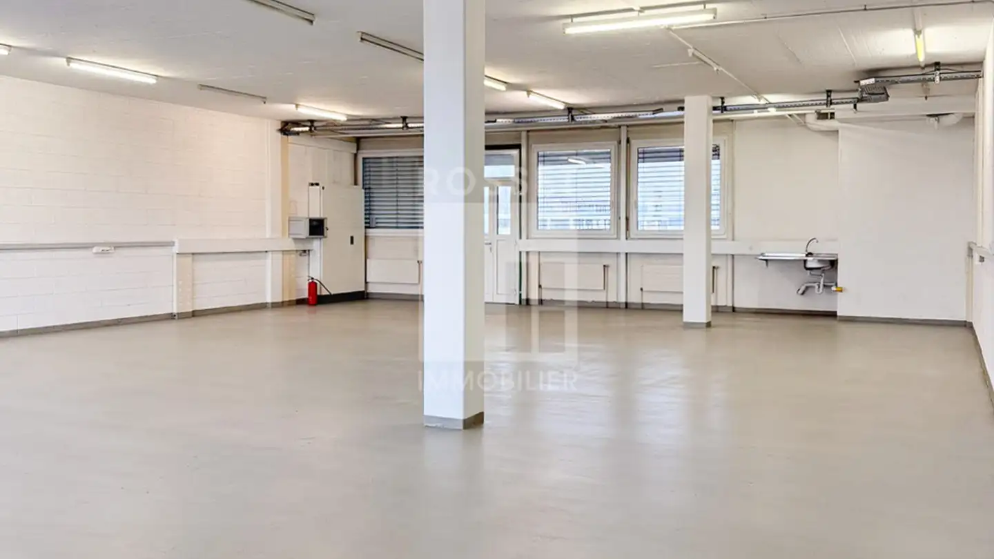 Workshop for rent - Chemin Du Champ-Des-Filles, 1228 Plan-les-Ouates - Photo 3