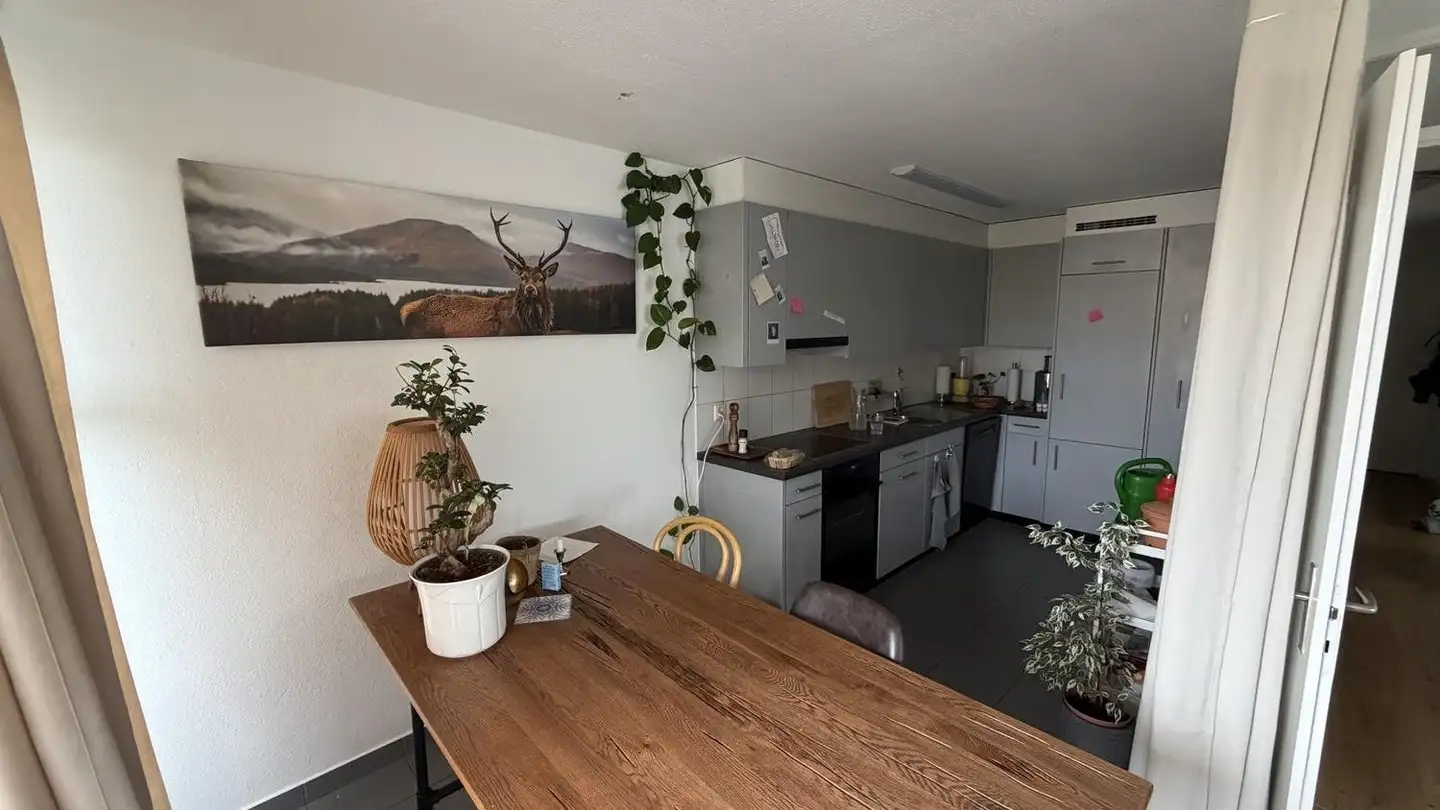 Wohnung mieten - Im Thurland 3, 8570 Weinfelden - Foto 4