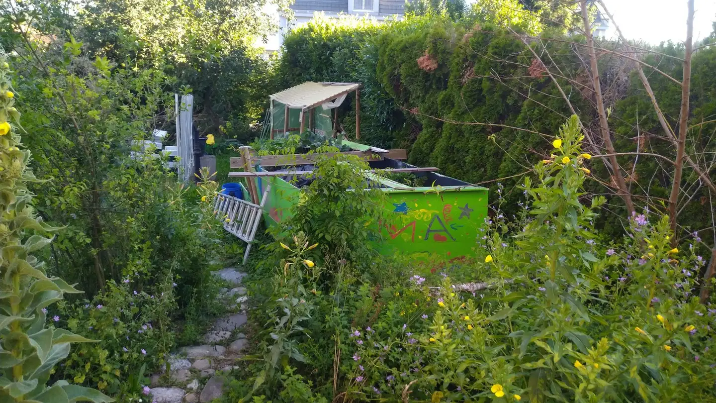 Stanza singola in affitto - Rebenweg 1, 8317 Tagelswangen - Foto 3