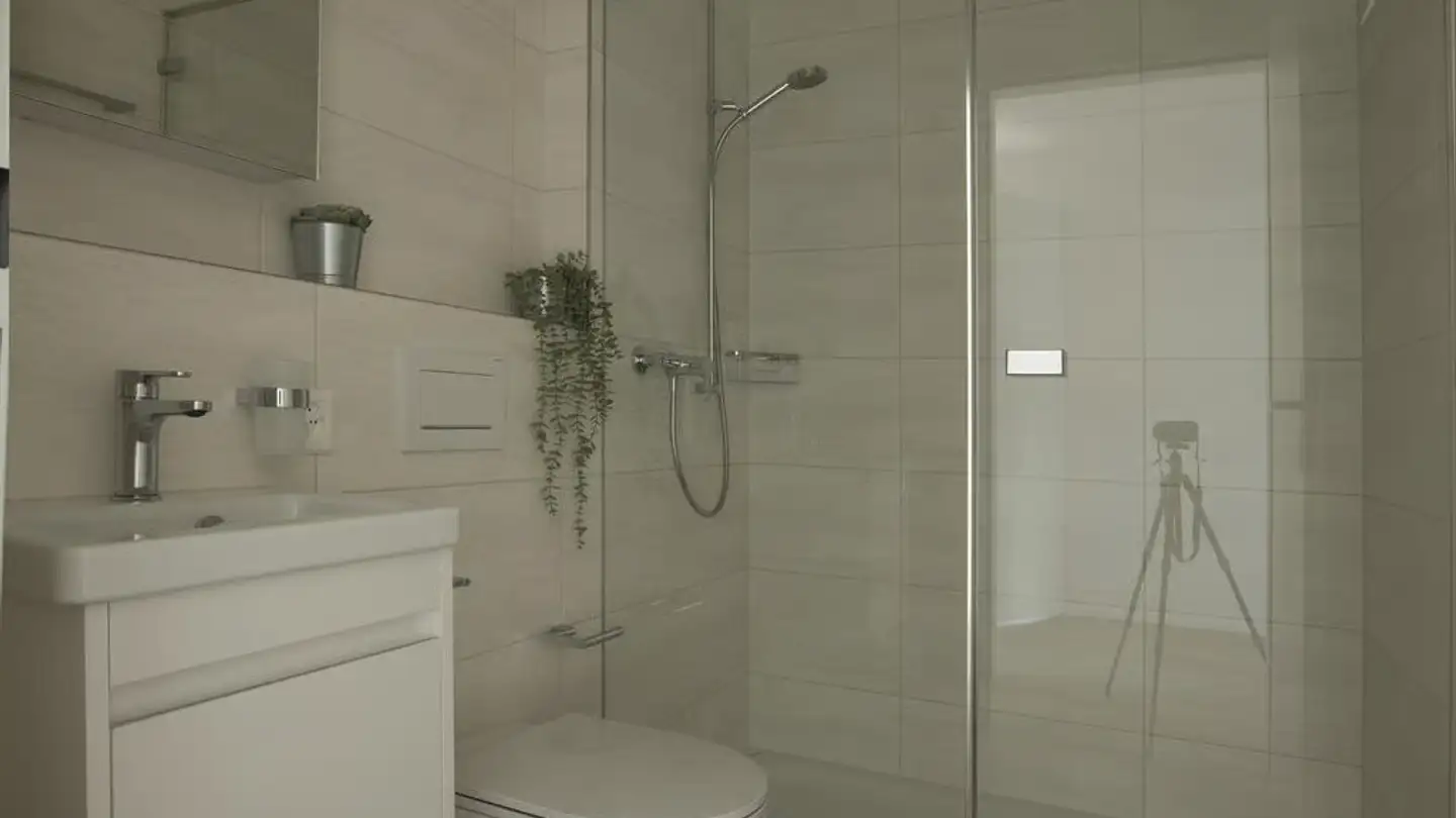 Wohnung mieten - Tiergartenstrasse 52b, 4410 Liestal - Foto 4