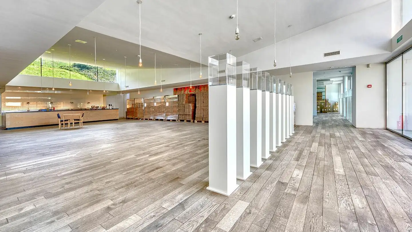 Spazio ufficio in affitto - 6234 Triengen - Photo 3