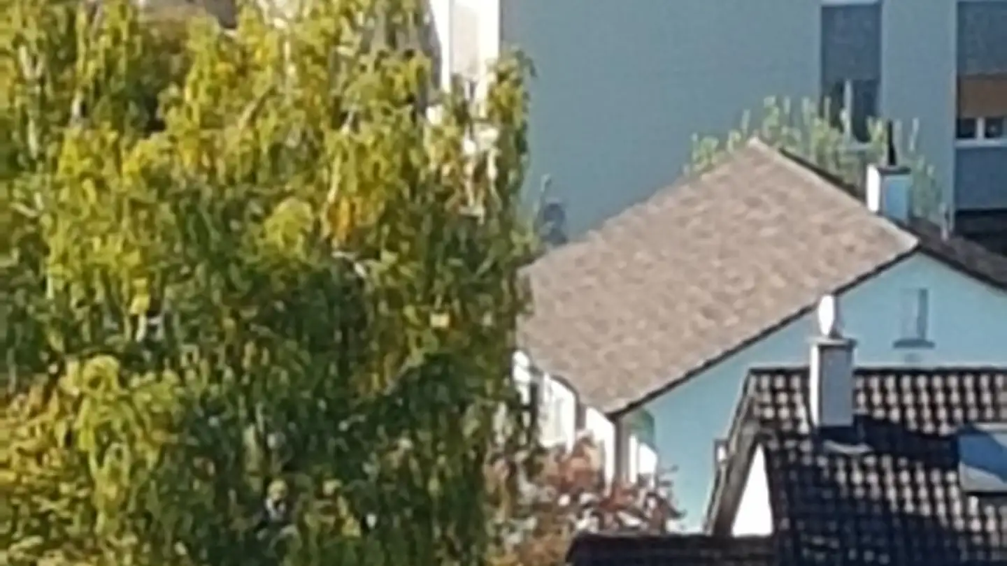 Appartamento in affitto - Burghaldenweg 2, 4435 Niederdorf - Photo 2