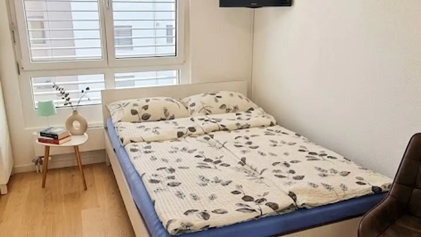 Appartement meublé à louer - 8246 Langwiesen - Photo 3