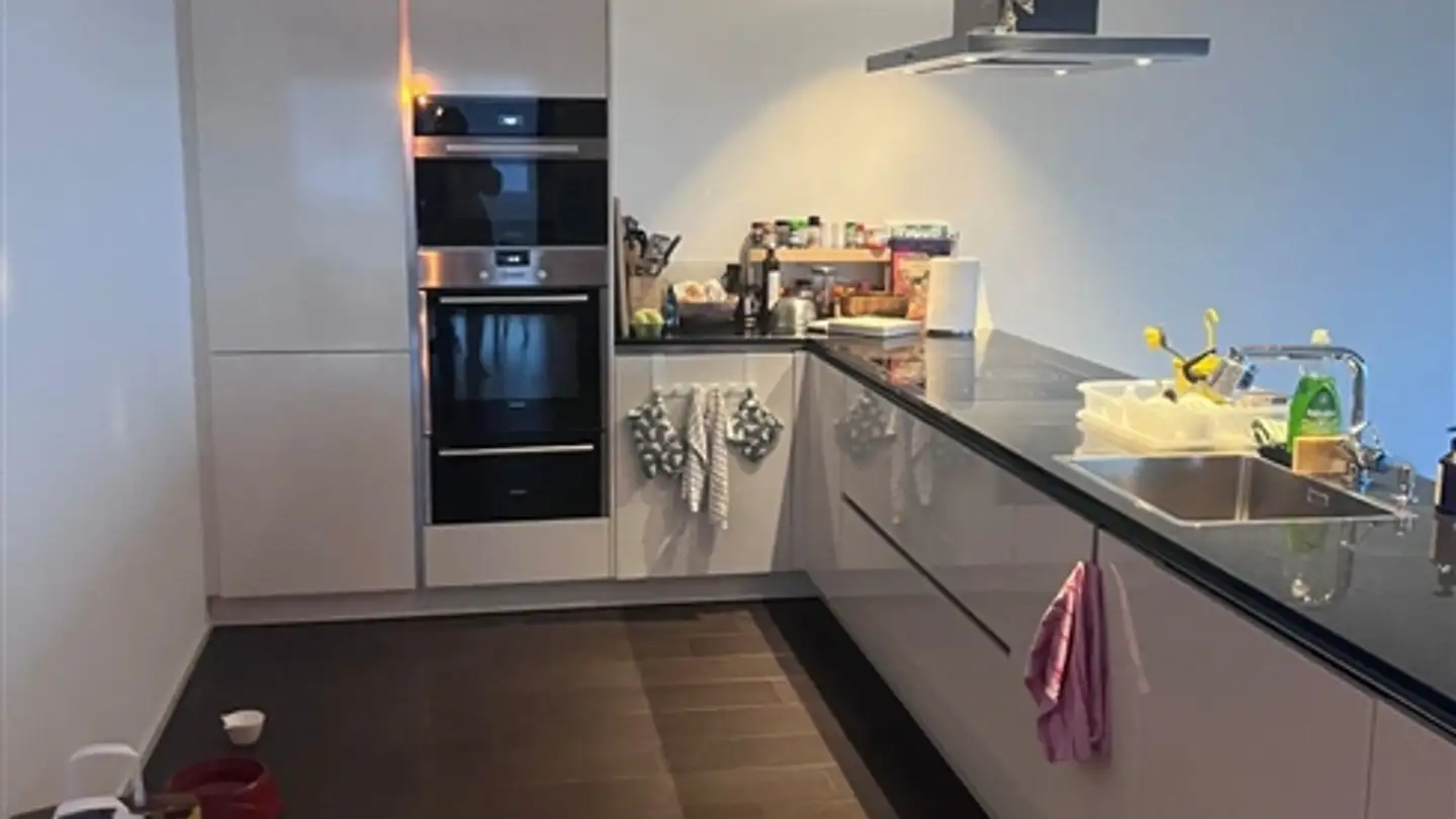 Wohnung mieten - Chemin De Fénix, 1095 Lutry