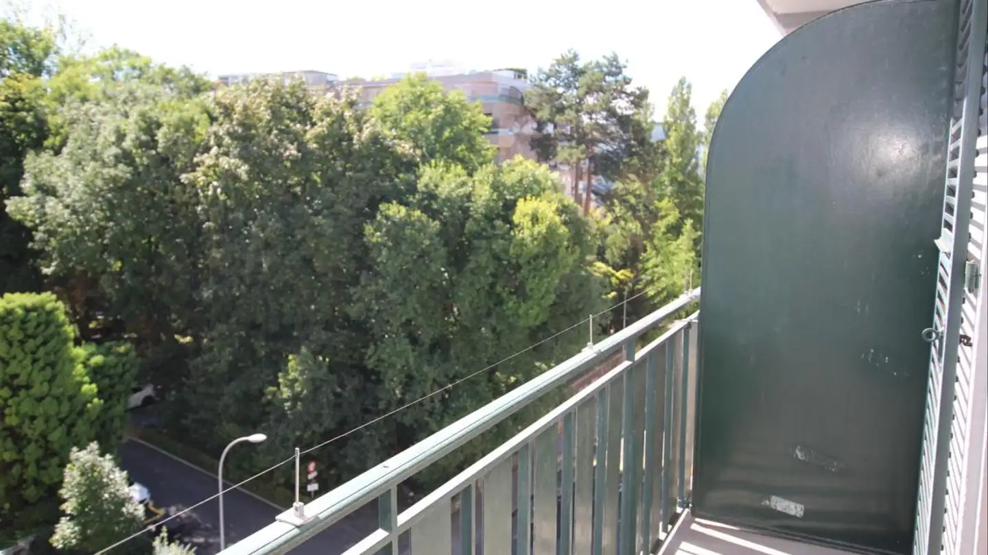 Furnished apartment for rent - Route De Malagnou 37, 1208 Genève - Photo 4