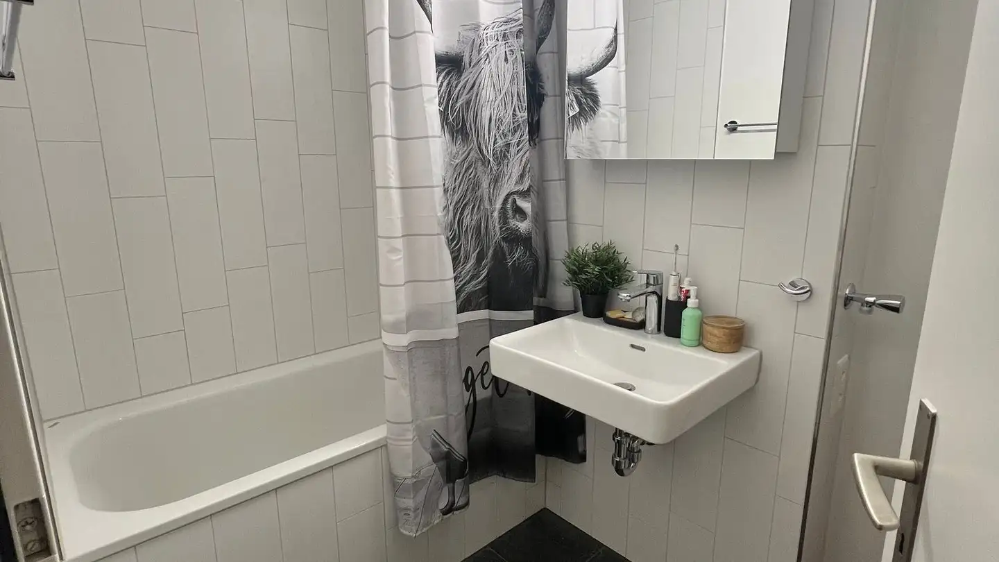 Wohnung mieten - Hammerstrasse 4, 4414 Füllinsdorf