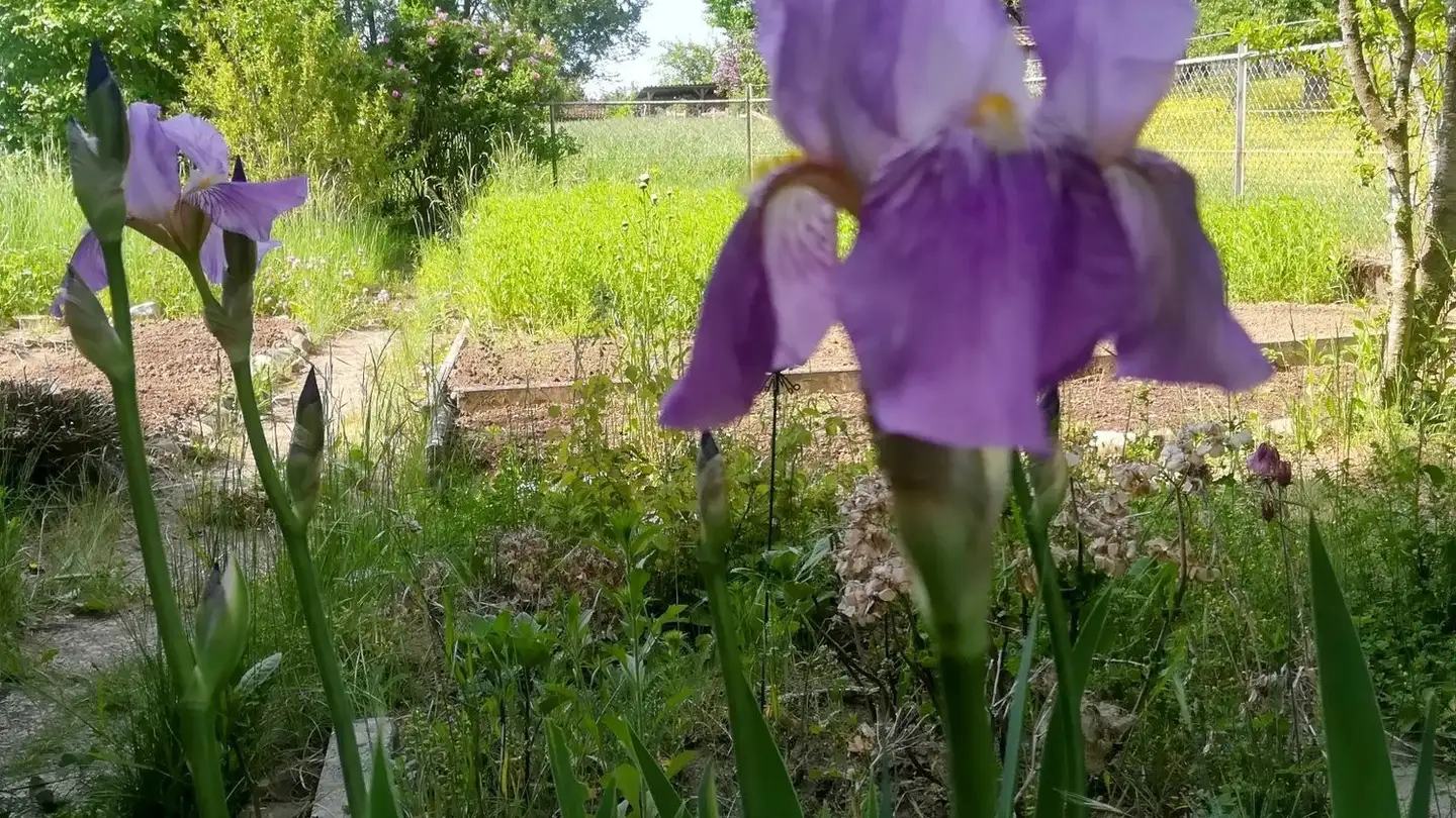 Casa singola in affitto - 1682 Lovatens - Photo 2