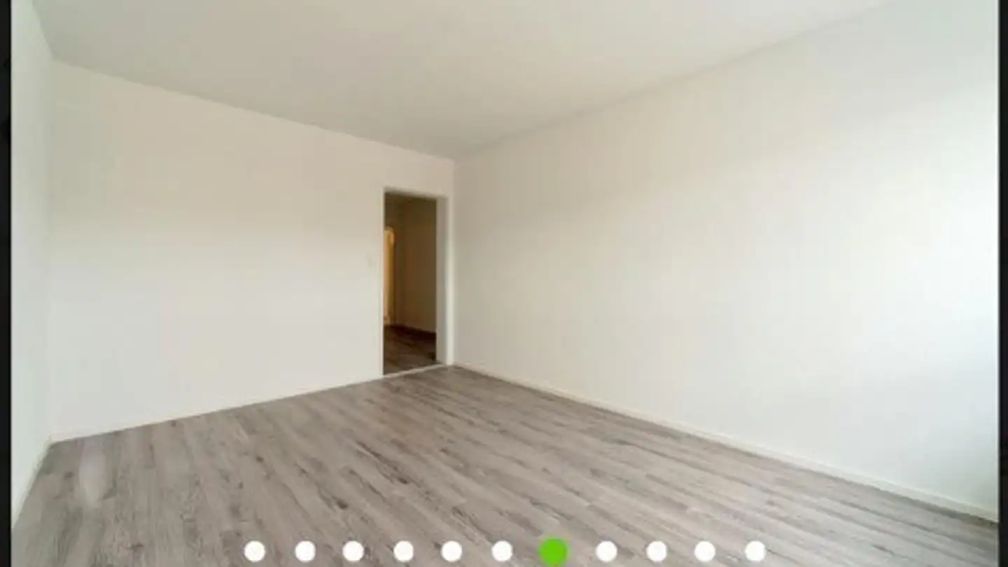Appartement à louer - Jungstrasse, 8050 Zürich