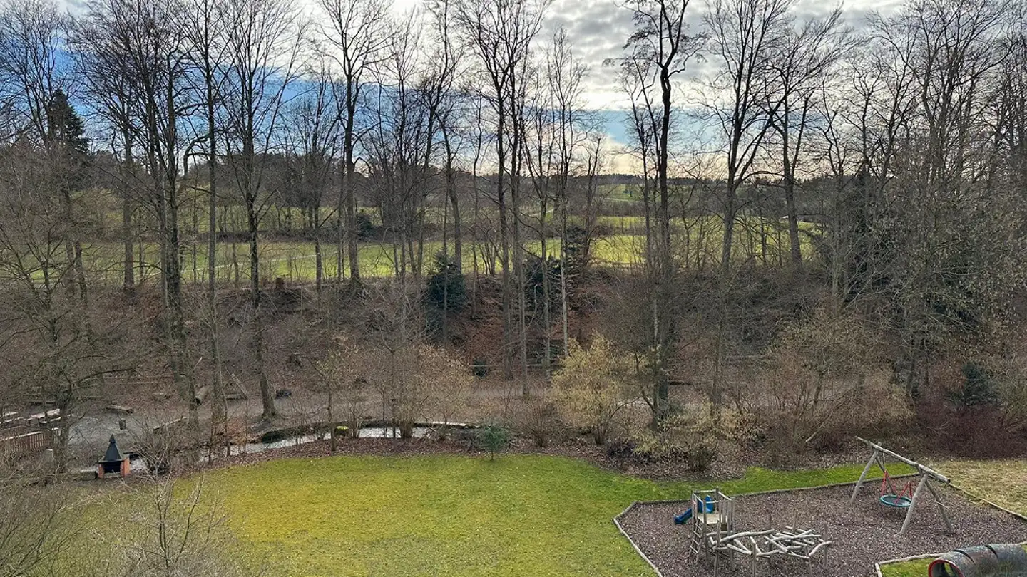 Attique à louer - Hellmühlestrasse 18, 8580 Amriswil - Photo 3