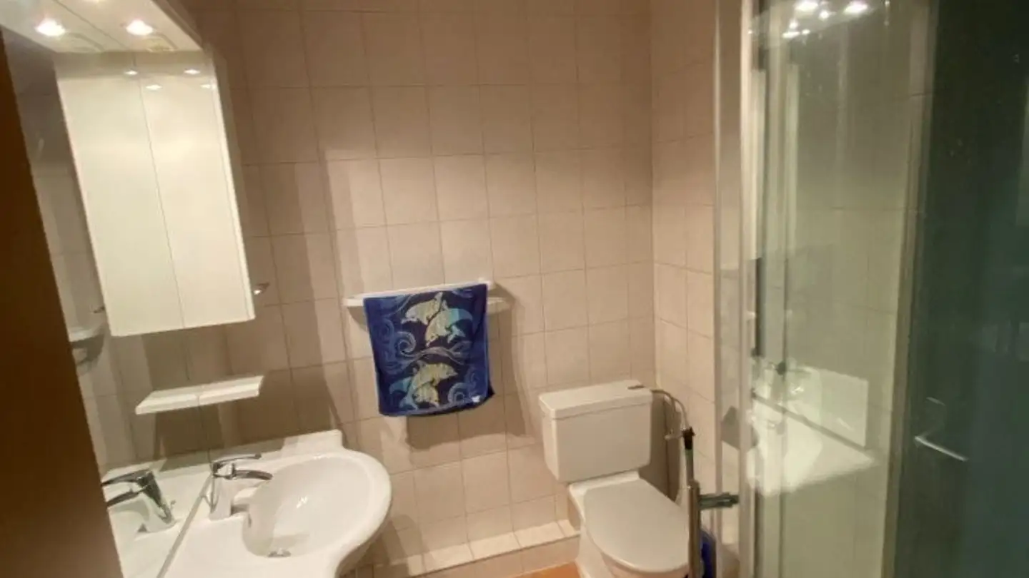 Appartement à louer - Route De Martigny 61, 1926 Fully - Photo 4