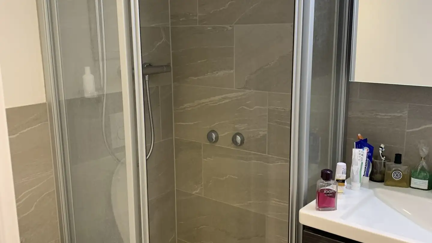 Single room for rent - Freiestrasse 45, 8952 Schlieren - Photo 3