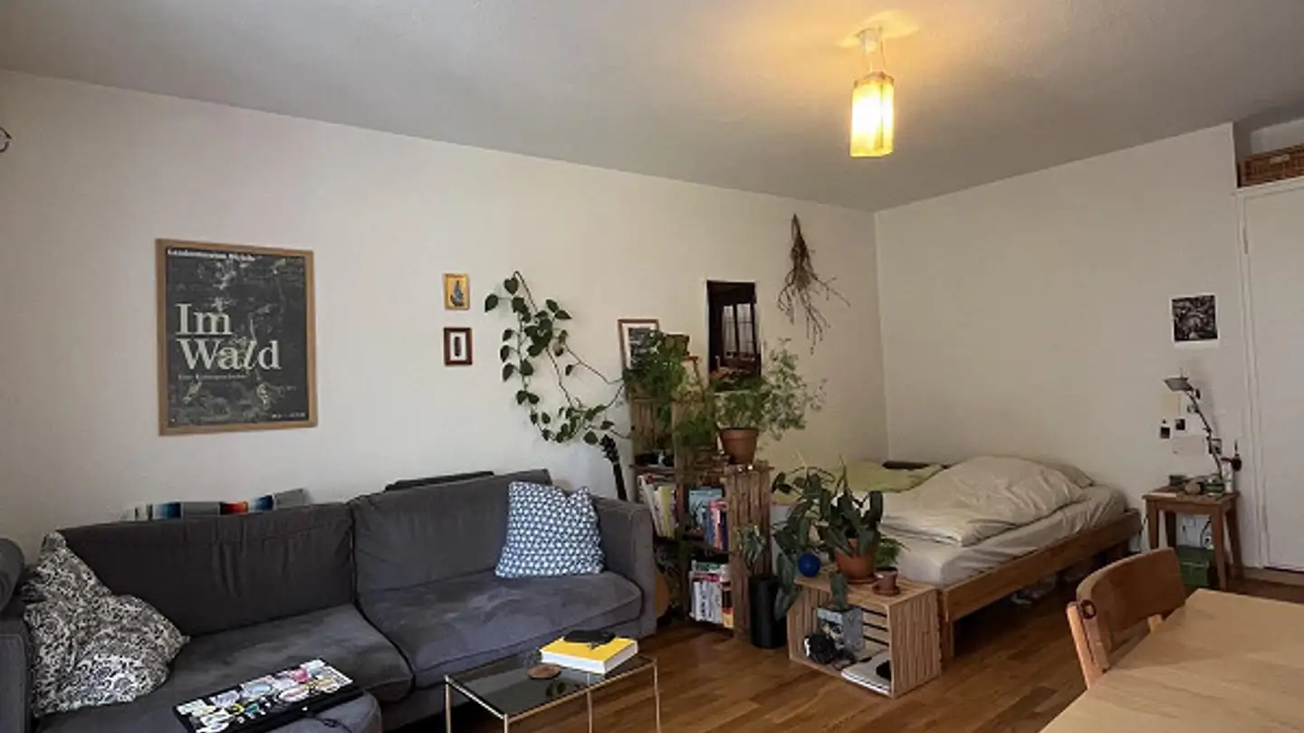Appartamento in affitto - Albanistrasse 11, 8400 Winterthur - Foto 3
