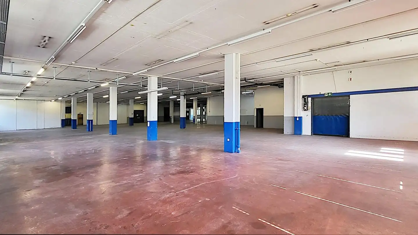 Commercial à louer - Gewerbestrasse 16, 8132 Egg b. Zürich