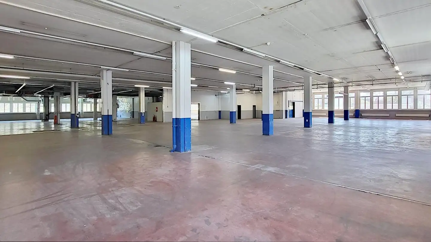 Commercial à louer - Gewerbestrasse 16, 8132 Egg b. Zürich - Photo 2