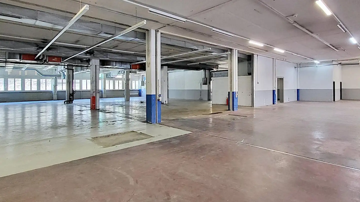 Commercial à louer - Gewerbestrasse 16, 8132 Egg b. Zürich - Photo 3