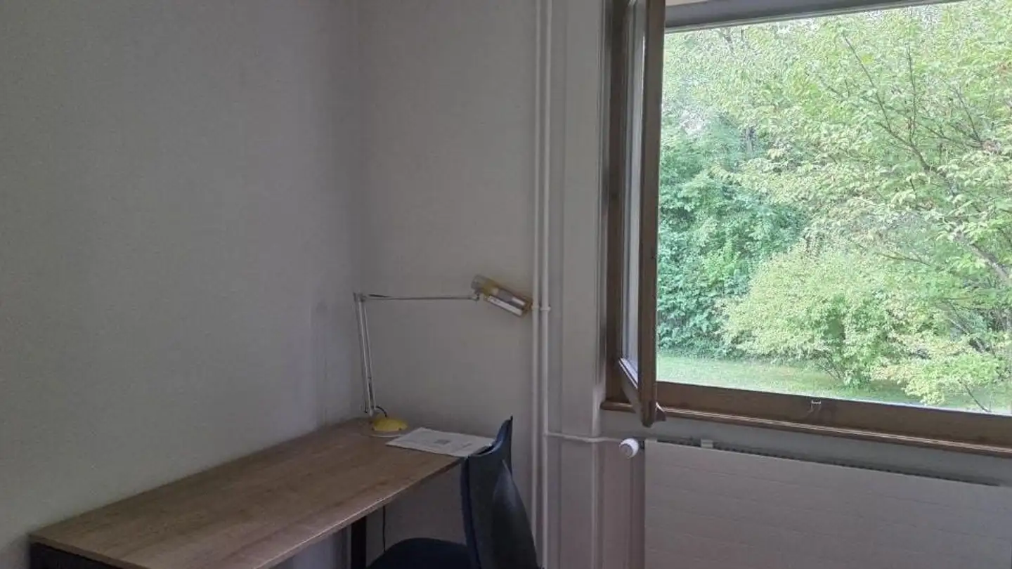 Chambre à louer - Chemin Des Galéides, 1234 Vessy - Photo 2