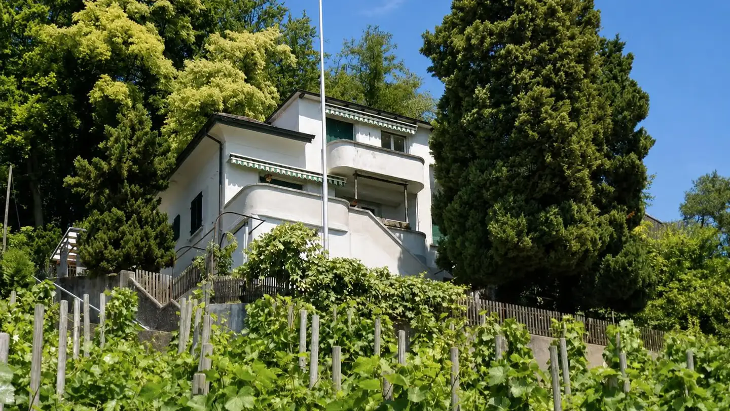 Single house for sale - Rebmattstrasse 22, 5013 Niedergösgen