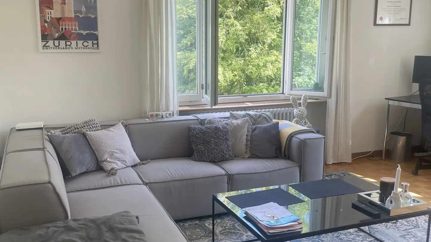 Appartamento in affitto - 8002 Zürich