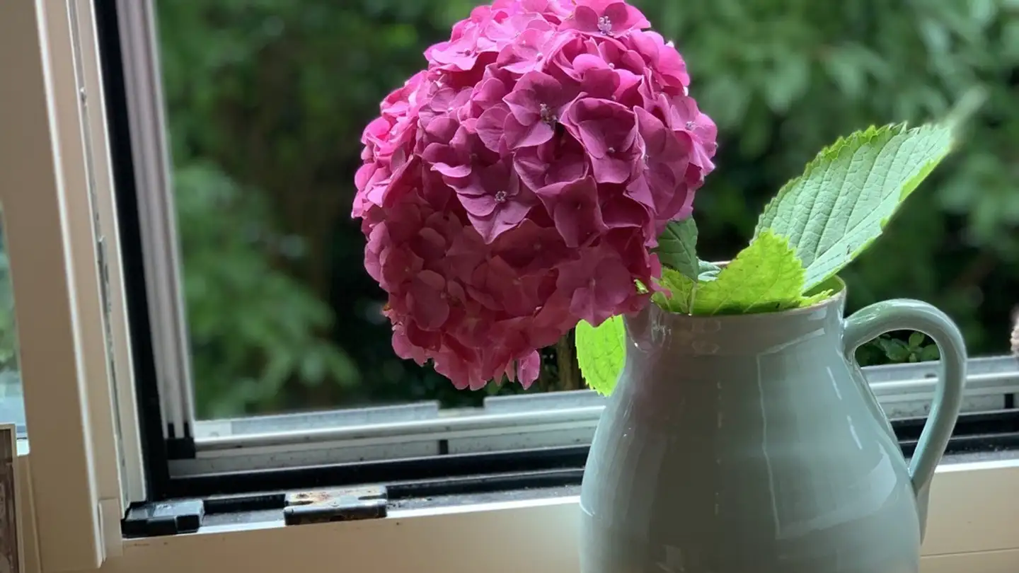 Single room for rent - 8032 Zürich - Photo 3