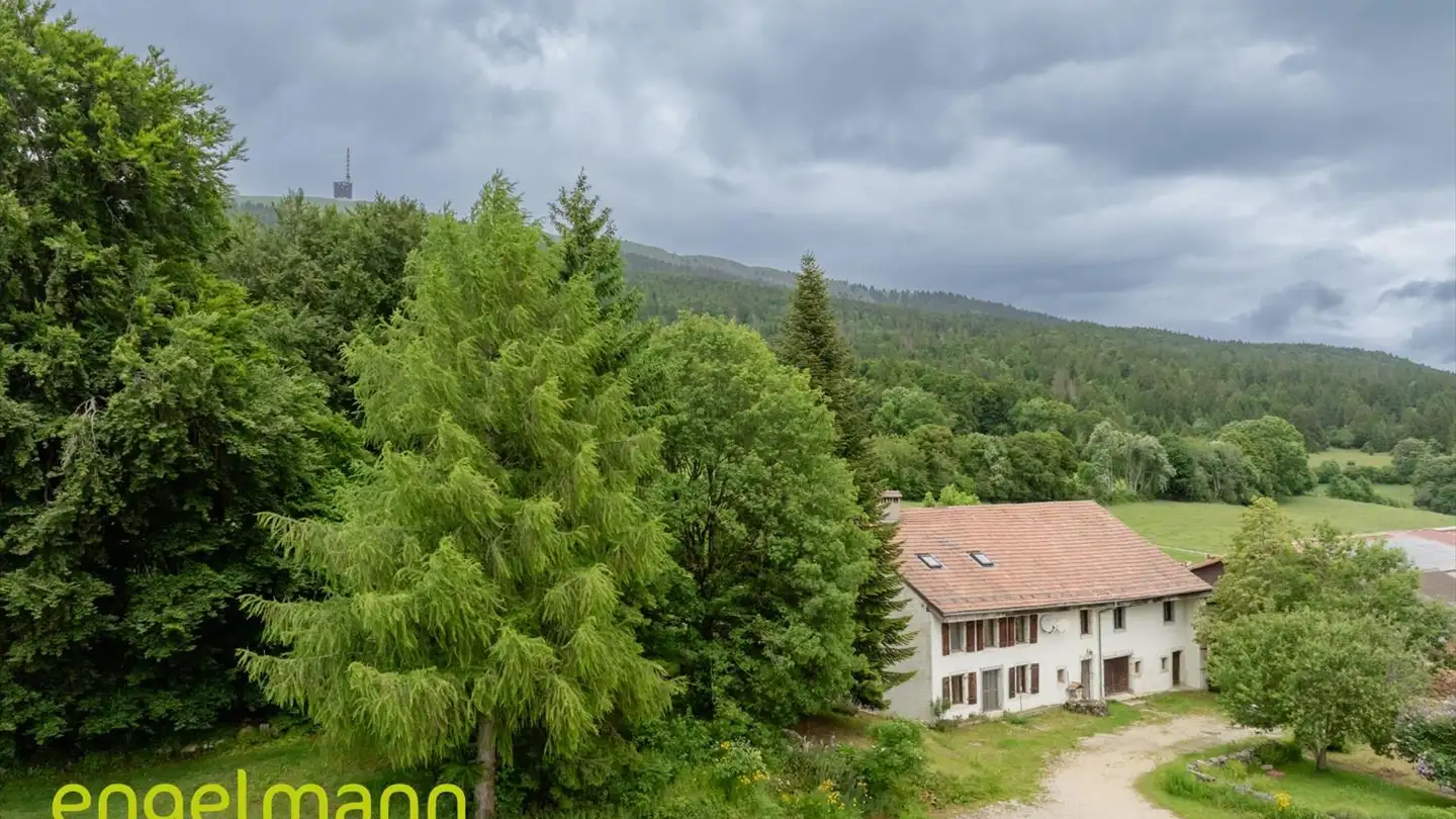 Appartamento in vendita - 2518 Nods - Photo 3