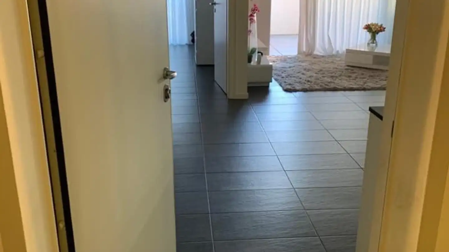 Appartamento in vendita - Via Guglielmo Canevascini, 6900 Lugano