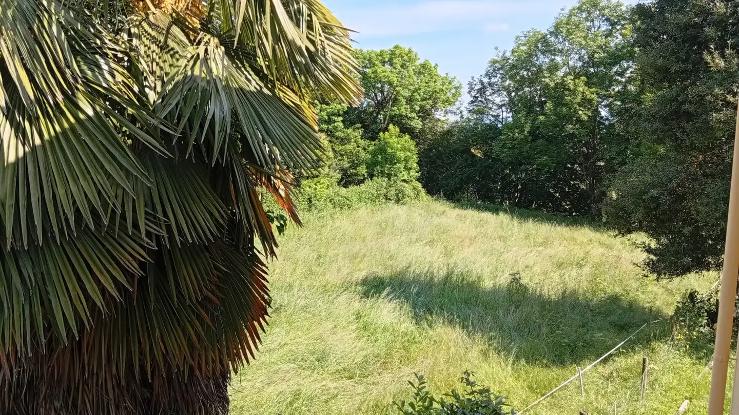 Appartement à louer - Via Ai Grotti 12, 6865 Tremona - Photo 4
