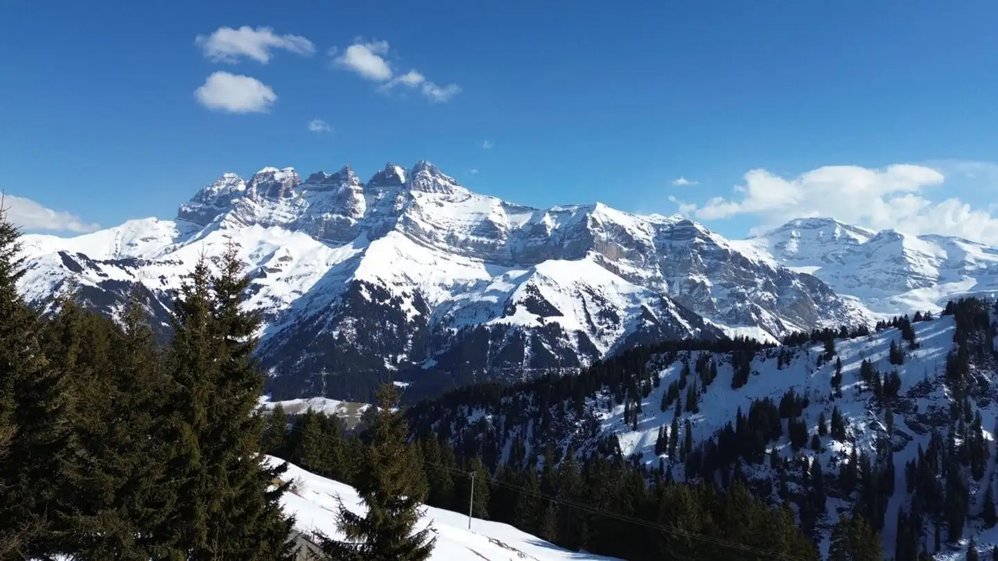 Chalet for sale - Route Des Crosets, 1873 Val-d'Illiez - Photo 2