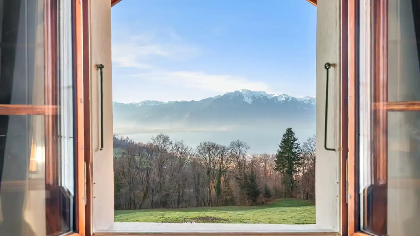 Einfamilienhaus kaufen - Route De Saint Légier, 1807 Blonay