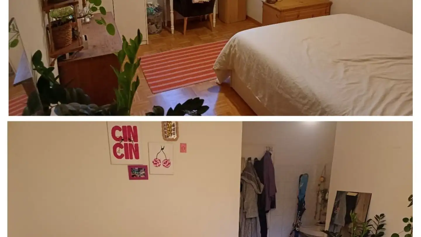 Single room for rent - Rue De Nidau / Nidaugasse 14, 2502 Biel/Bienne