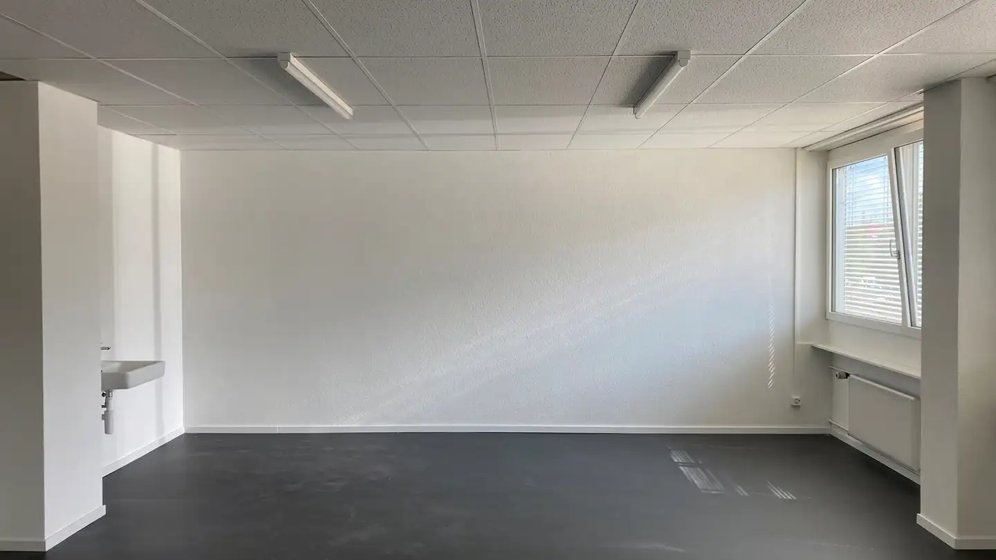 Laboratorio in affitto - Frankfurt-Strasse 66, 4142 Münchenstein - Foto 2