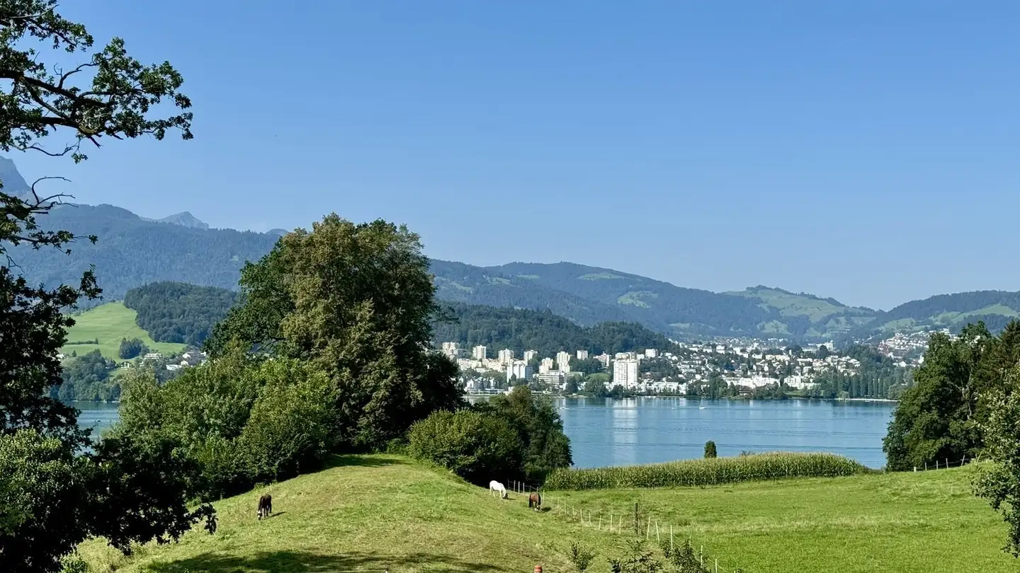 Wohnung mieten - Schönbühlweg 5, 6045 Meggen