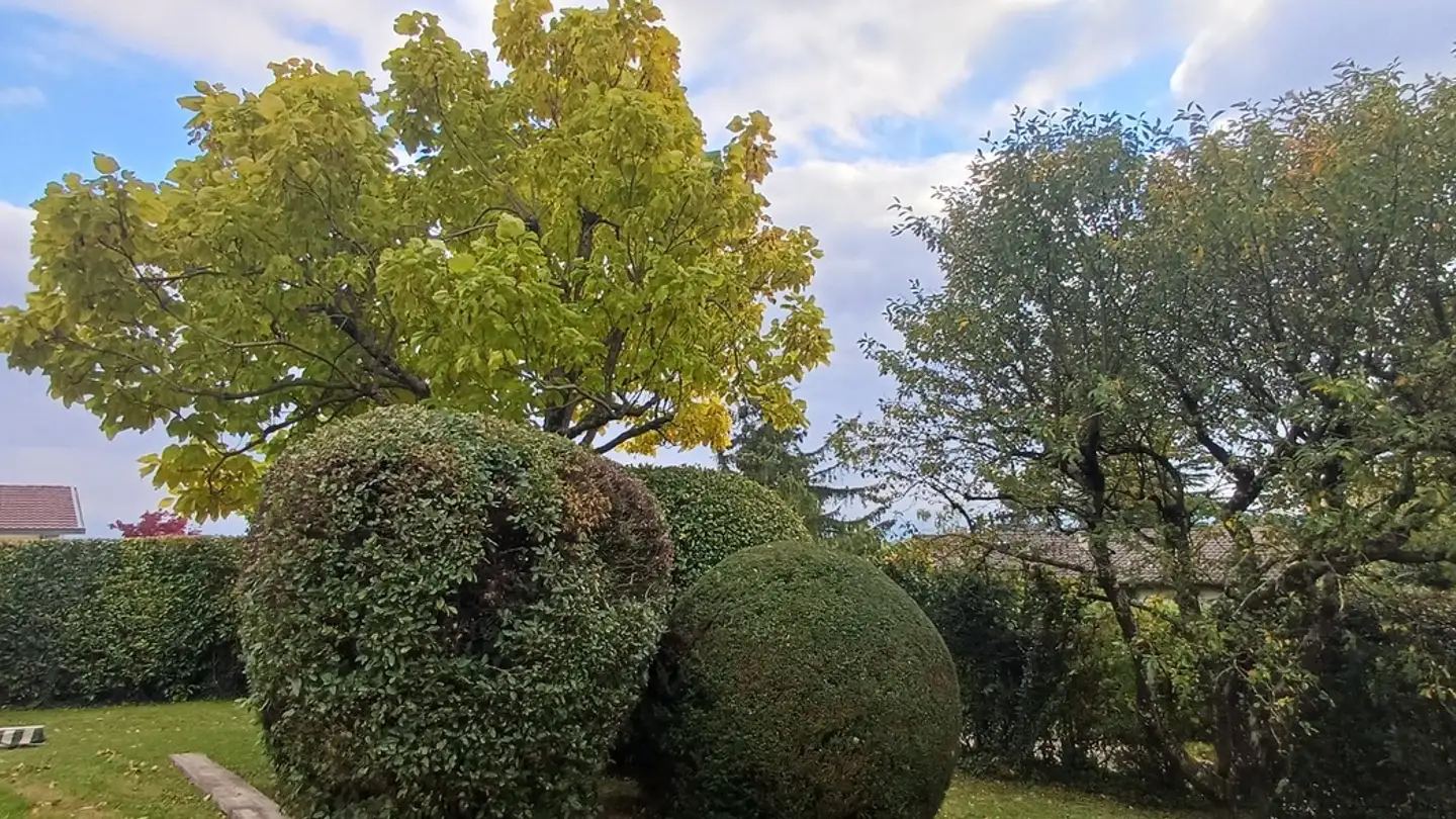 Casa singola in vendita - 1012 Lausanne - Foto 3