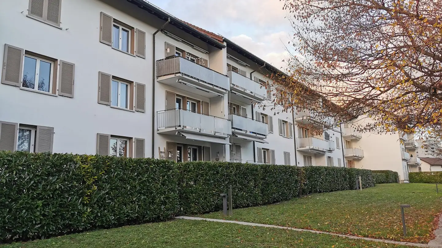 Wohnung mieten - Wildbachstrasse 21, 4500 Solothurn