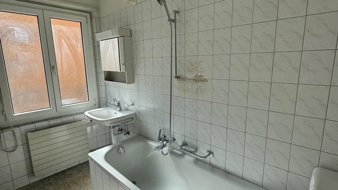 Chambre à louer - Manessestrasse 109, 8045 Zürich - Photo 4