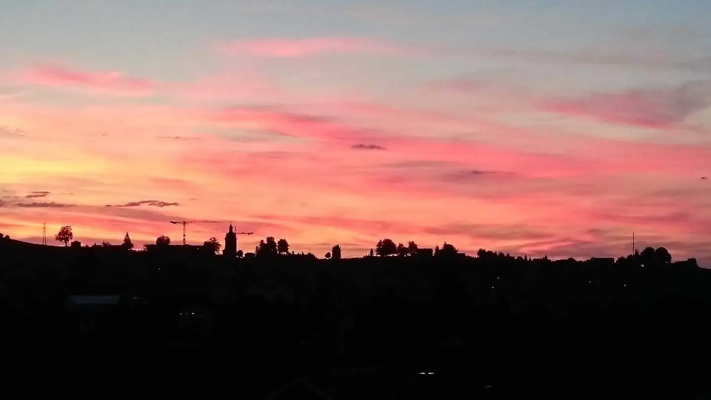 Appartamento in affitto - Gfeld 2, 9043 Trogen - Photo 4