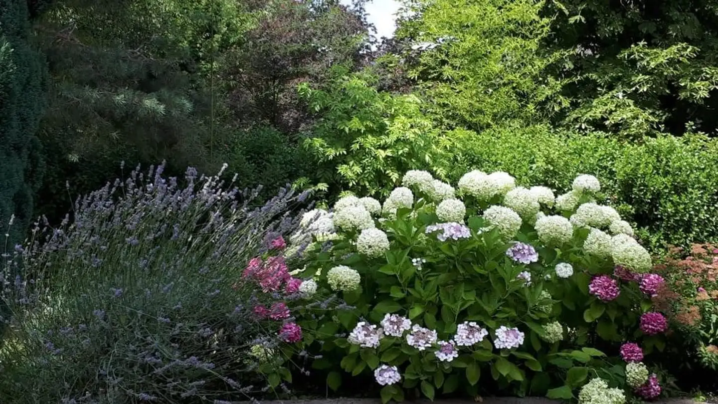 Maison individuelle à louer - Chemin Du Lac 10, 1291 Commugny