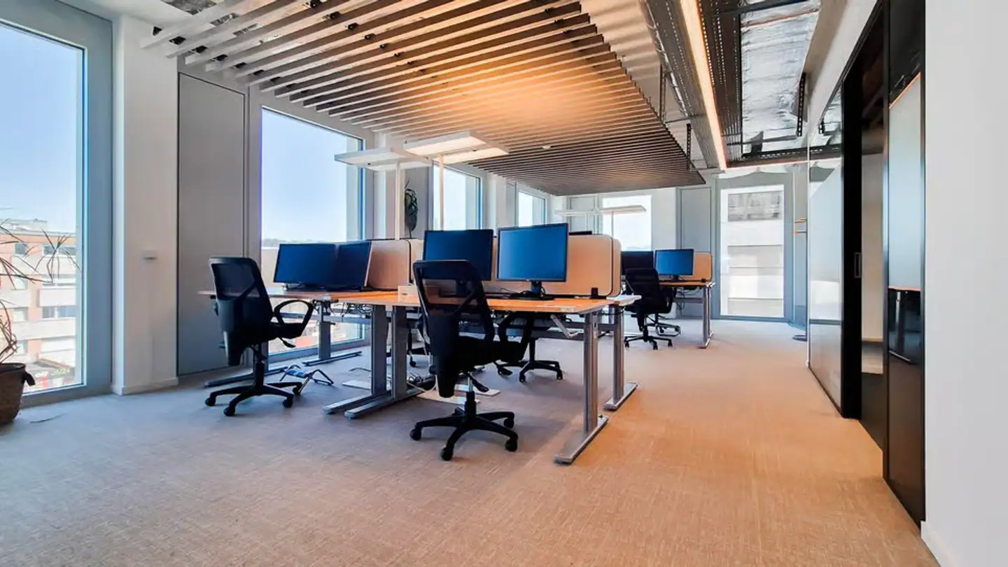 Gewerbe mieten - Route Des Plaines-Du-Loup 55, 1018 Lausanne
