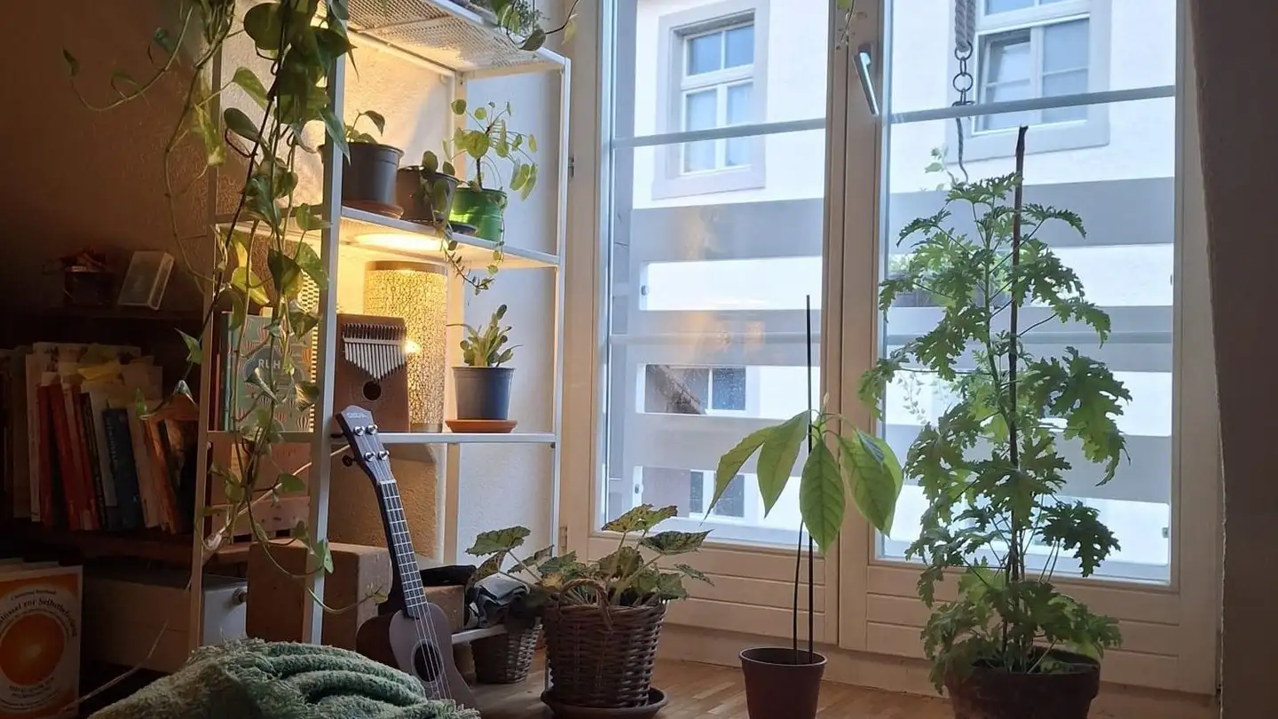 Attico in affitto - Kapuzinergasse 20, 4310 Rheinfelden - Foto 4