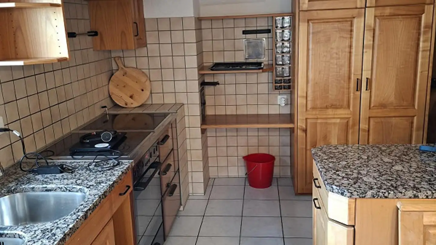 Fattoria in vendita - Langwiesenstrasse 5, 9503 Lanterswil - Photo 2