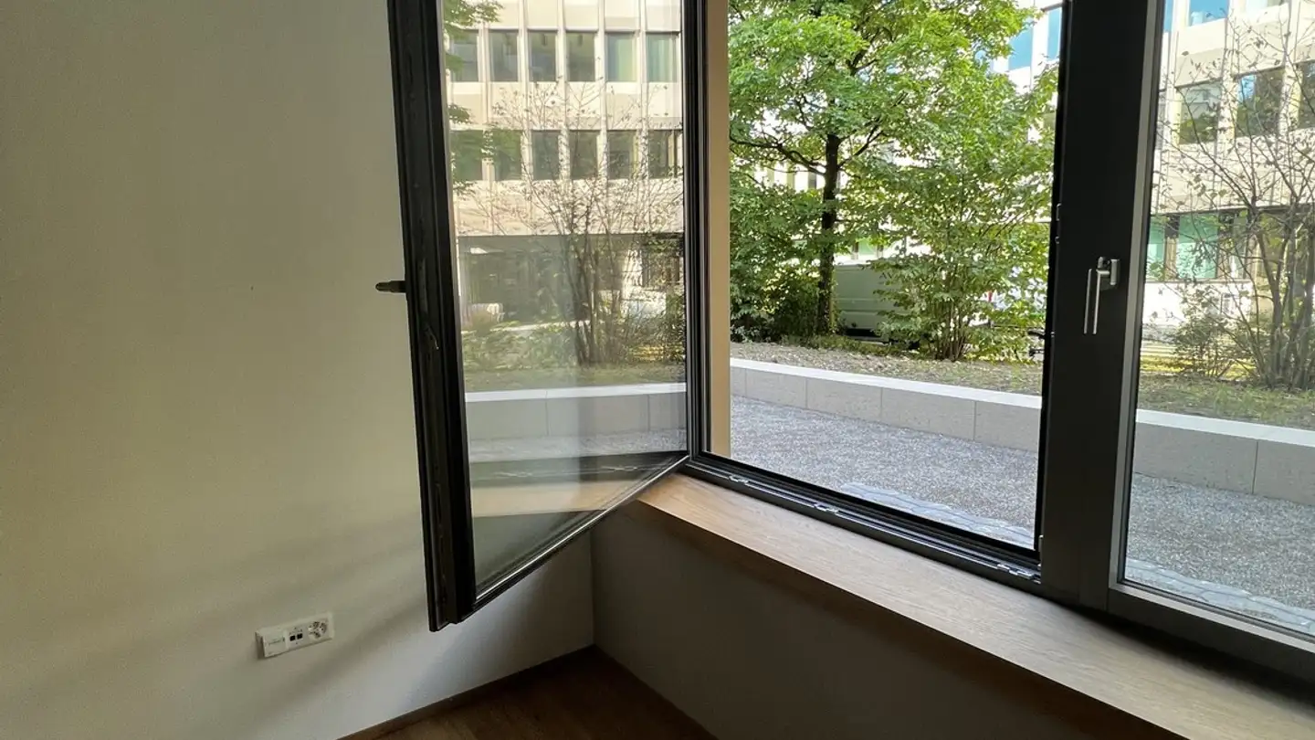 Appartamento in affitto - Talwiesenstrasse 123, 8055 Zürich - Photo 2
