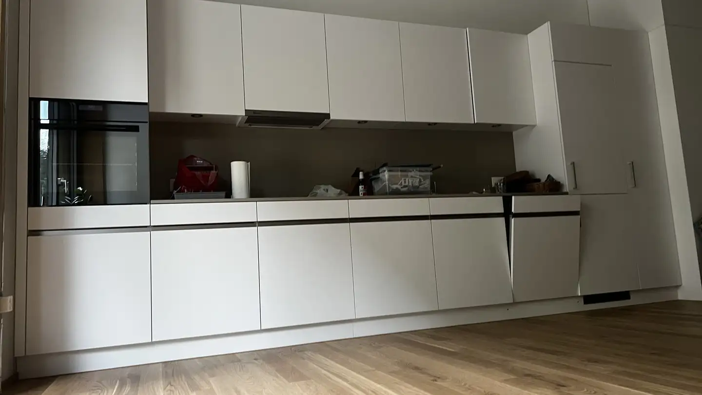 Appartamento in affitto - Talwiesenstrasse 123, 8055 Zürich - Photo 3