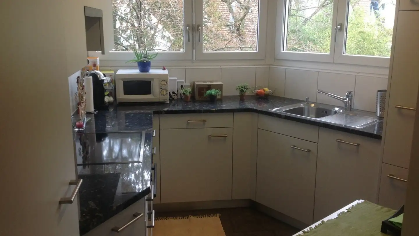 Apartment for rent - Winzerstrasse 112, 8049 Zürich - Photo 2